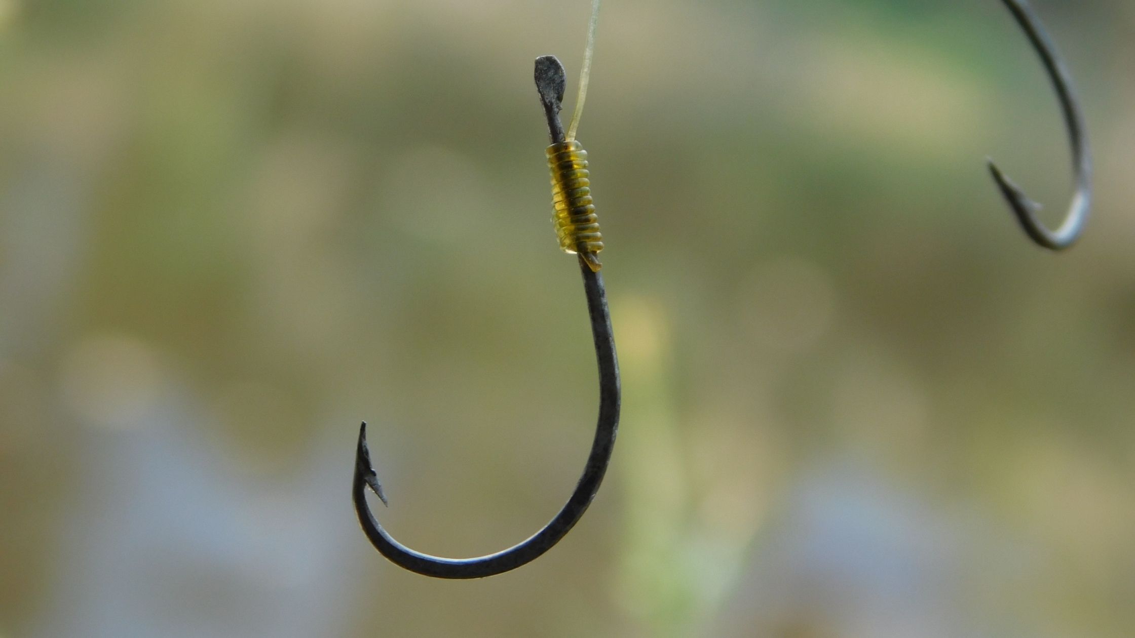 Types of Fishing Hooks: Aberdeen Hooks