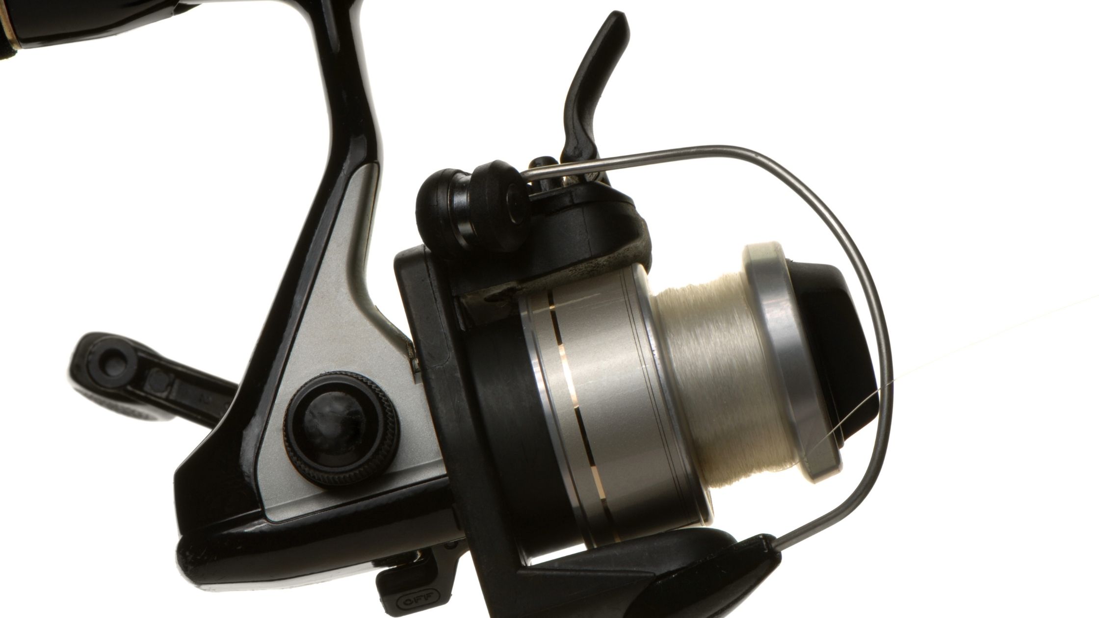 Types of fishing reels: bass fishing reel