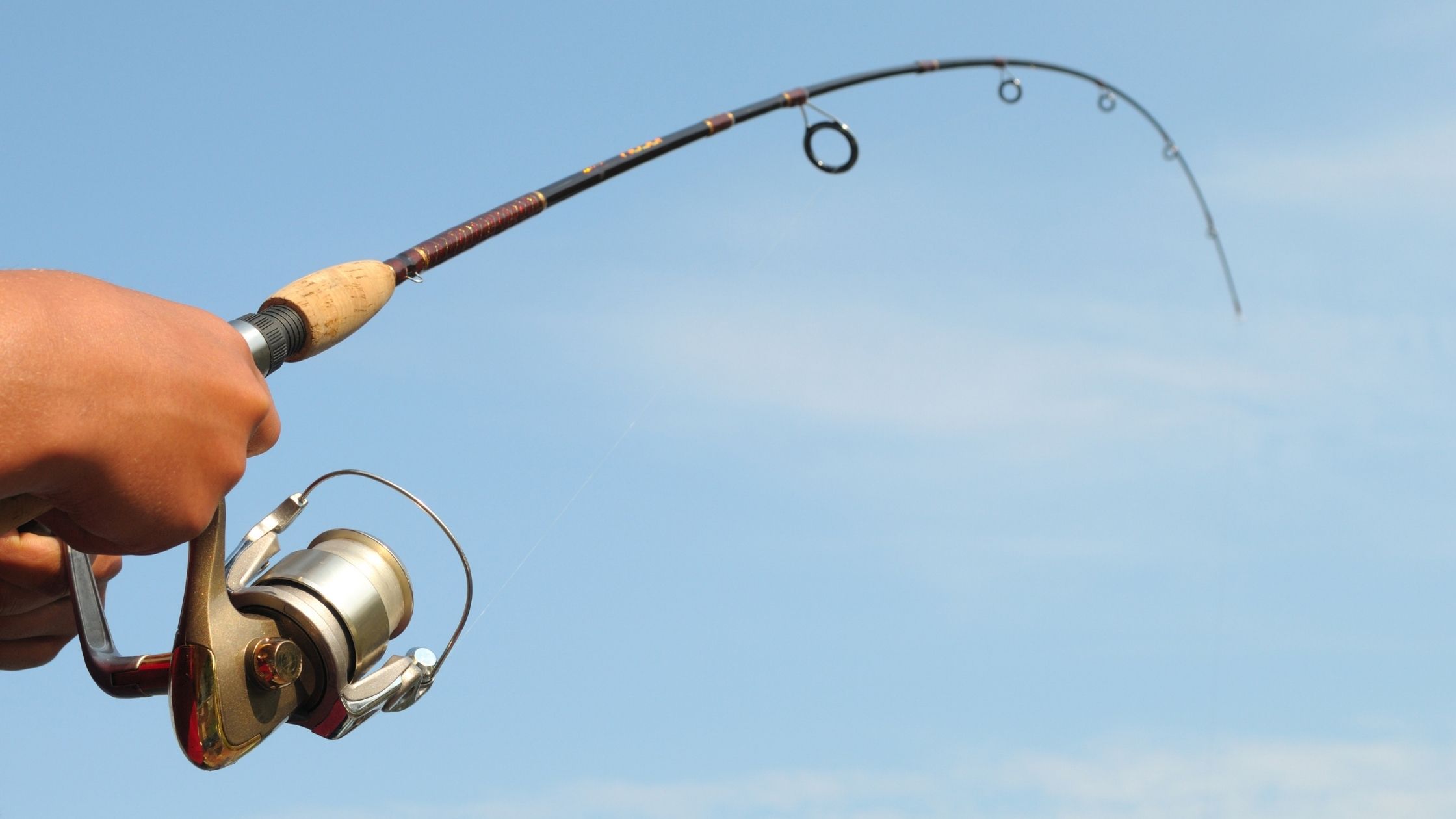 types of fishing poles: Casting Fishing Poles