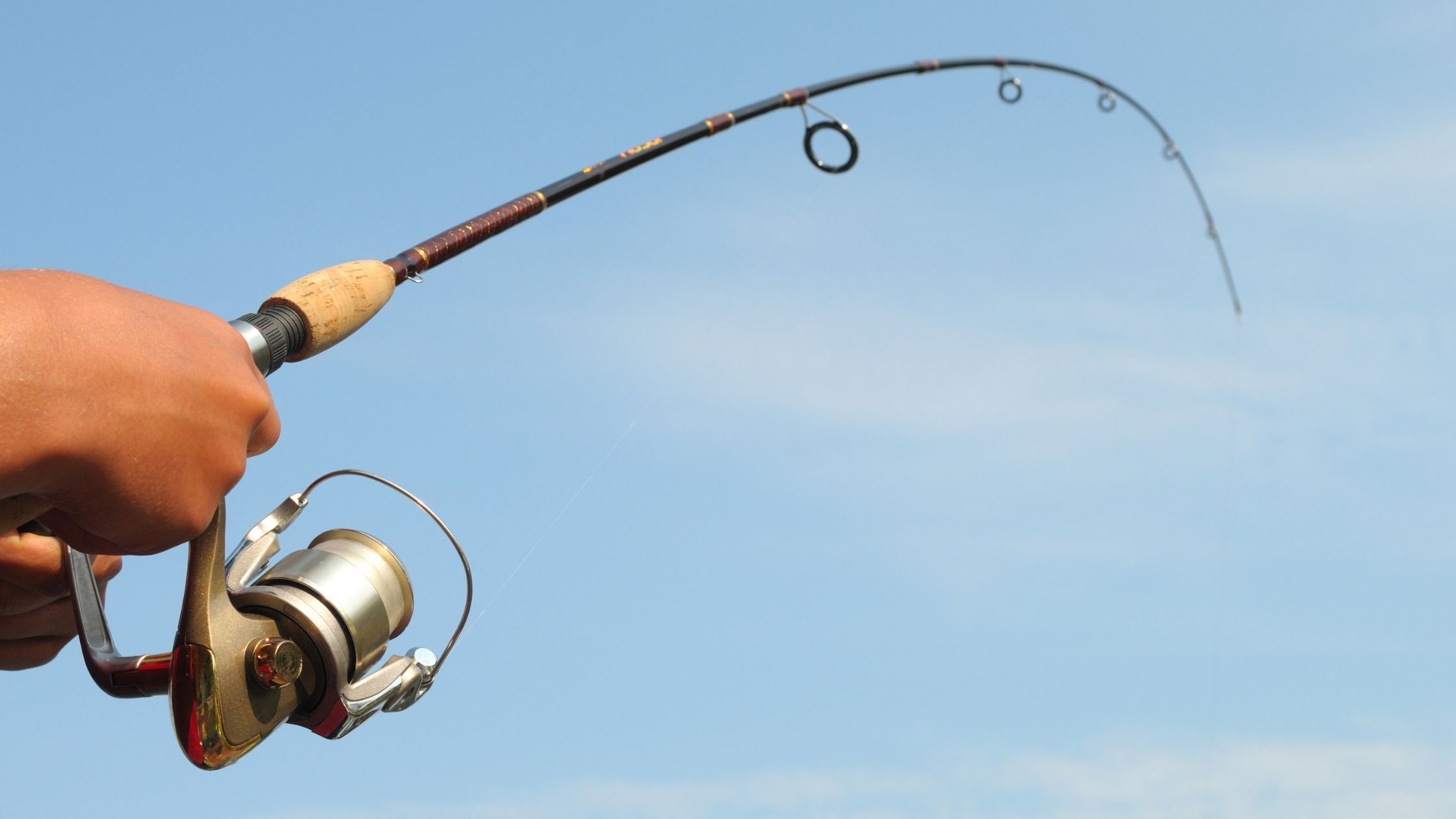 Types of Fishing Rods: casting rods