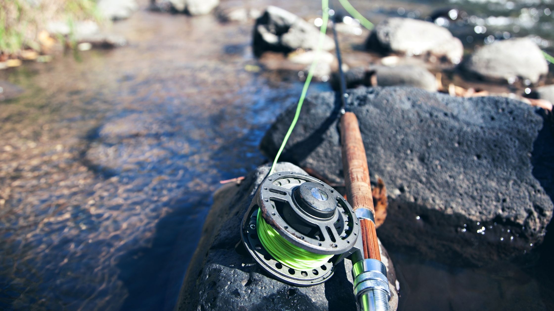 types of fishing poles: Fly Fishing Poles