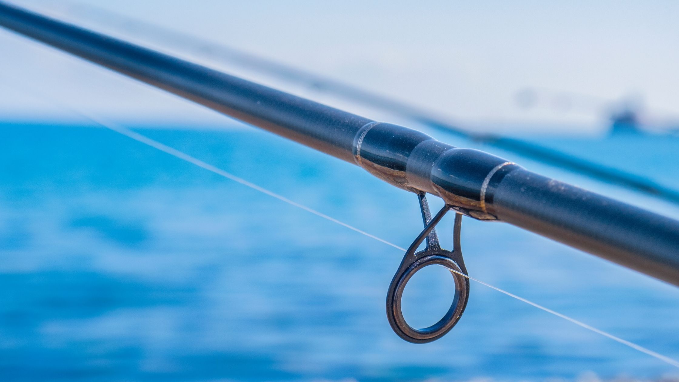 Types of Fishing Rods: Graphite fishing rod