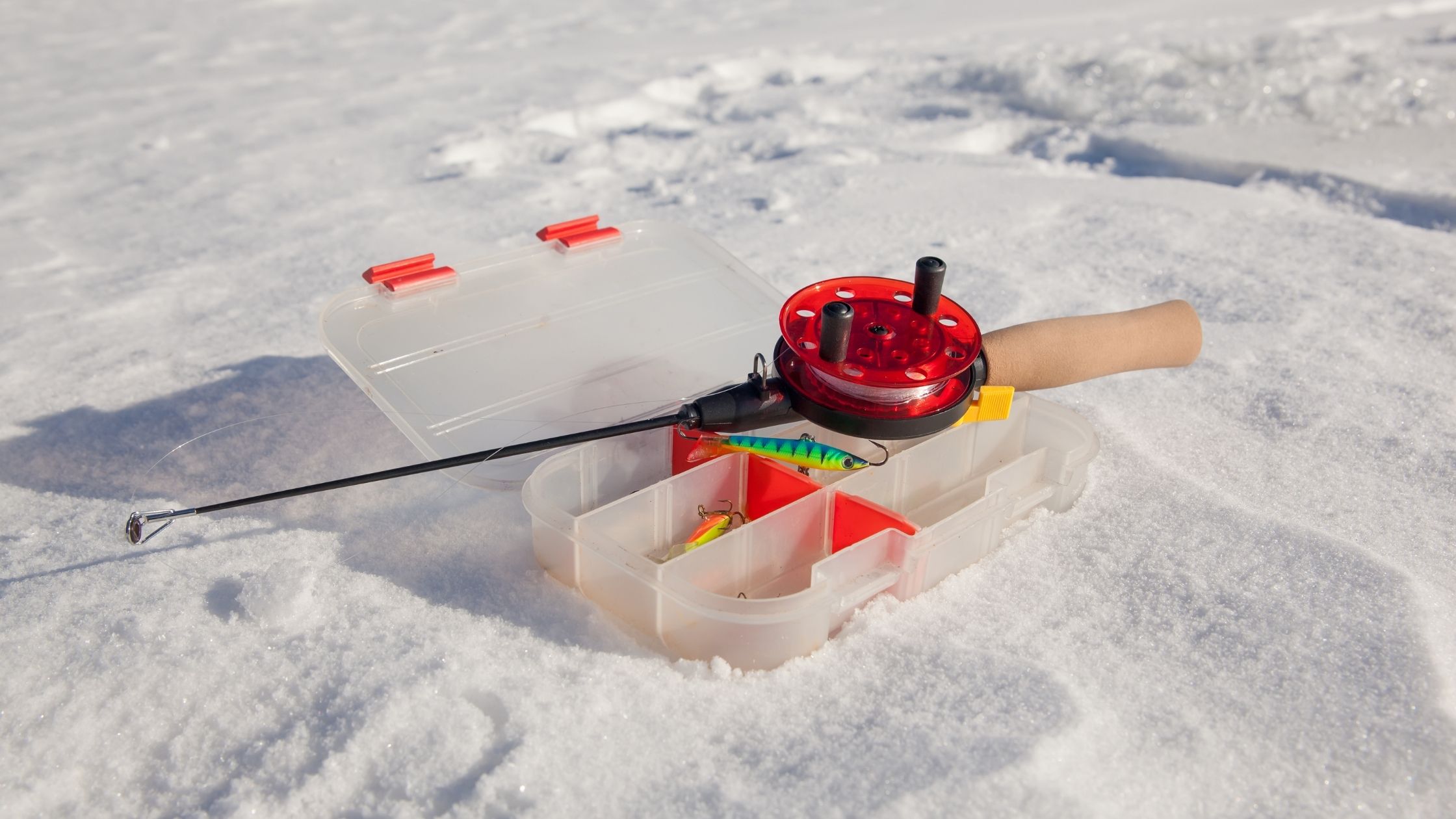 Types of Fishing Rods: Ice fishing rod