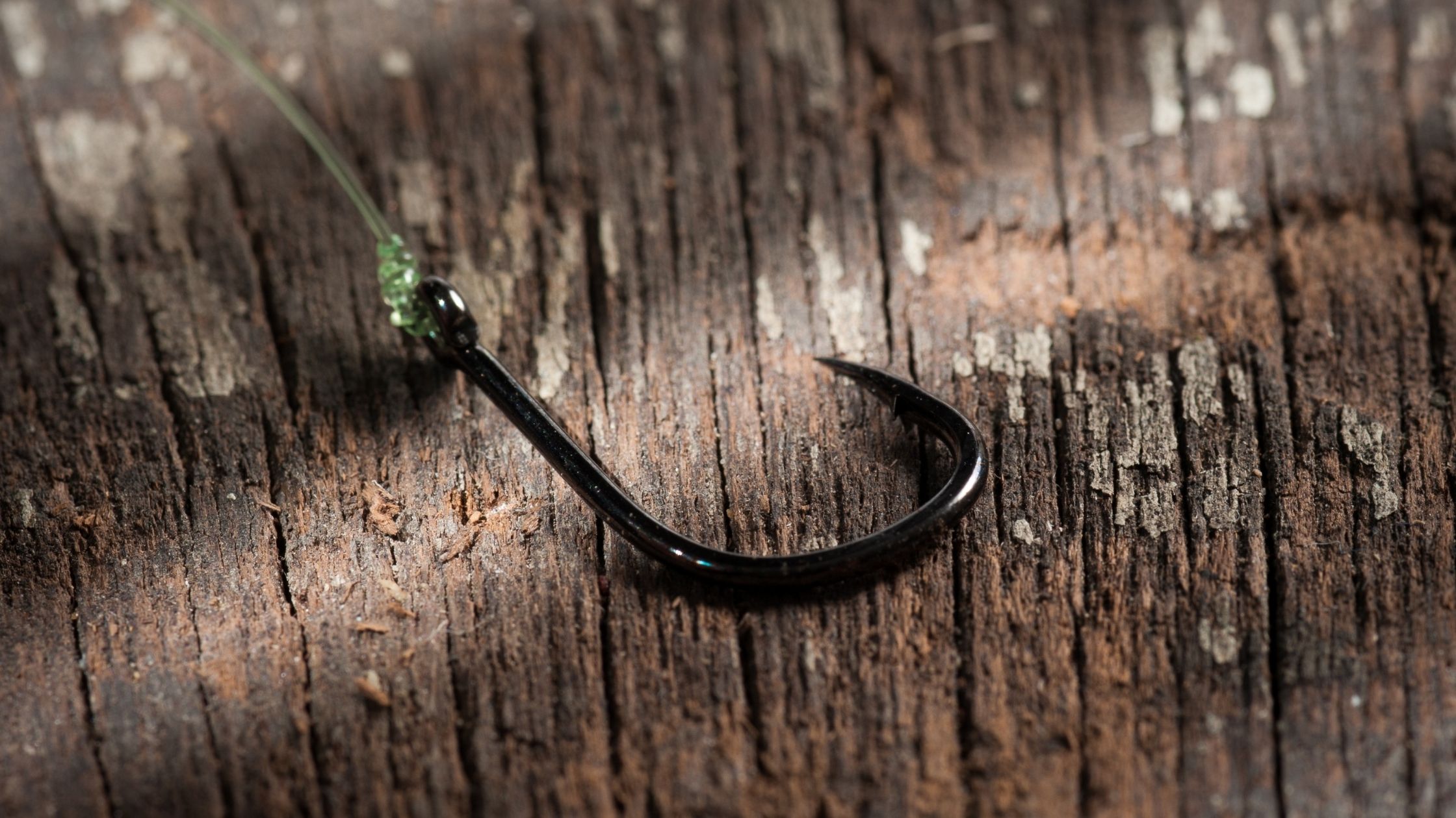 Types of Fishing Hooks: J Hooks