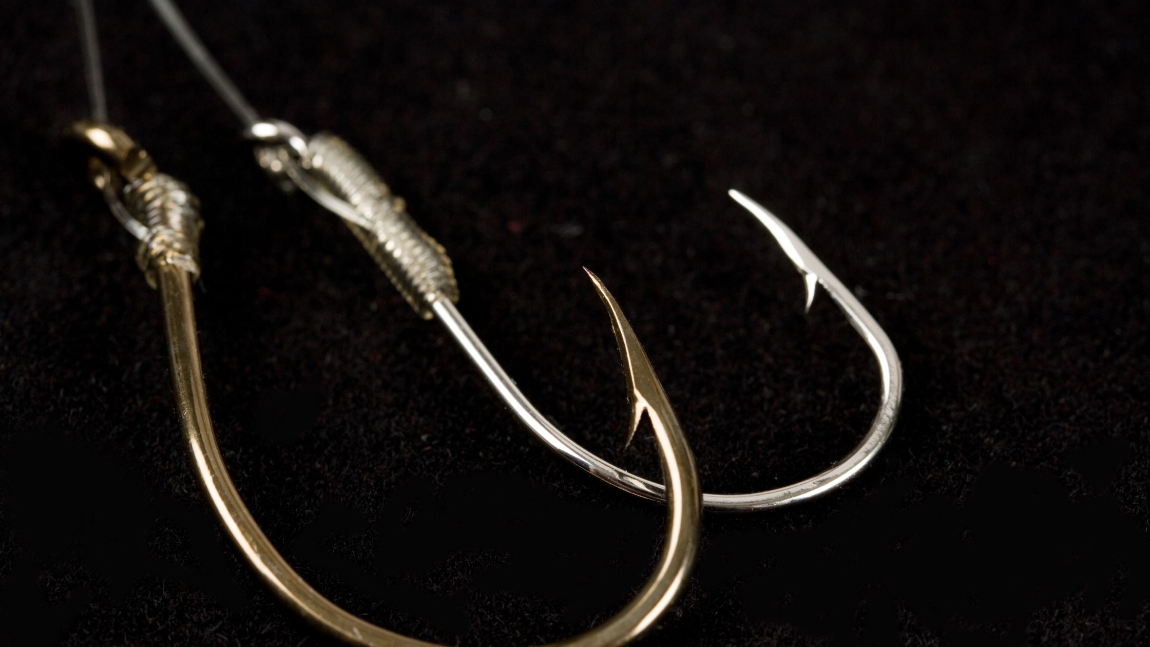 Types of Fishing Hooks: Octopus Hook