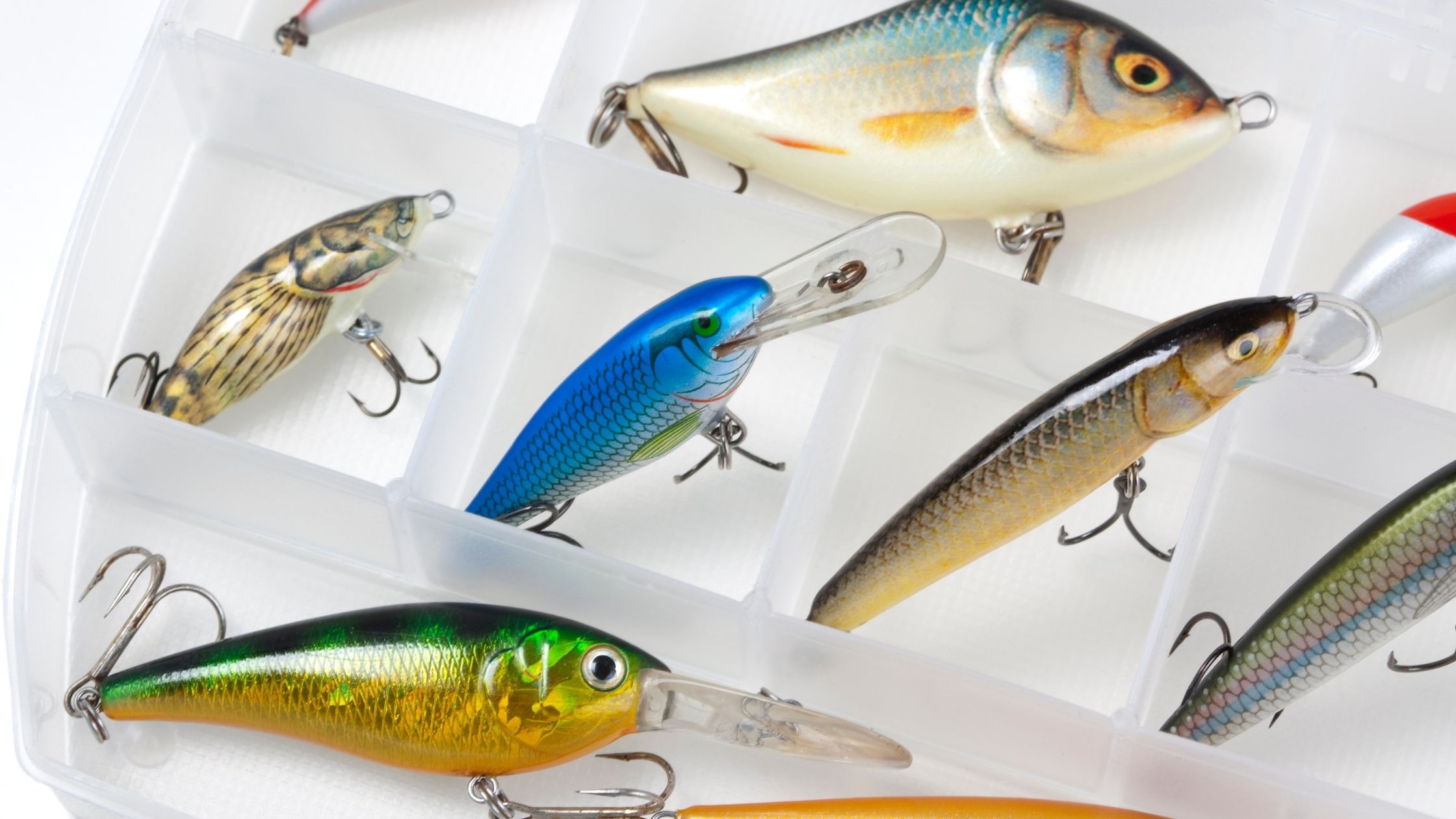 types of fishing Lures: Plugs