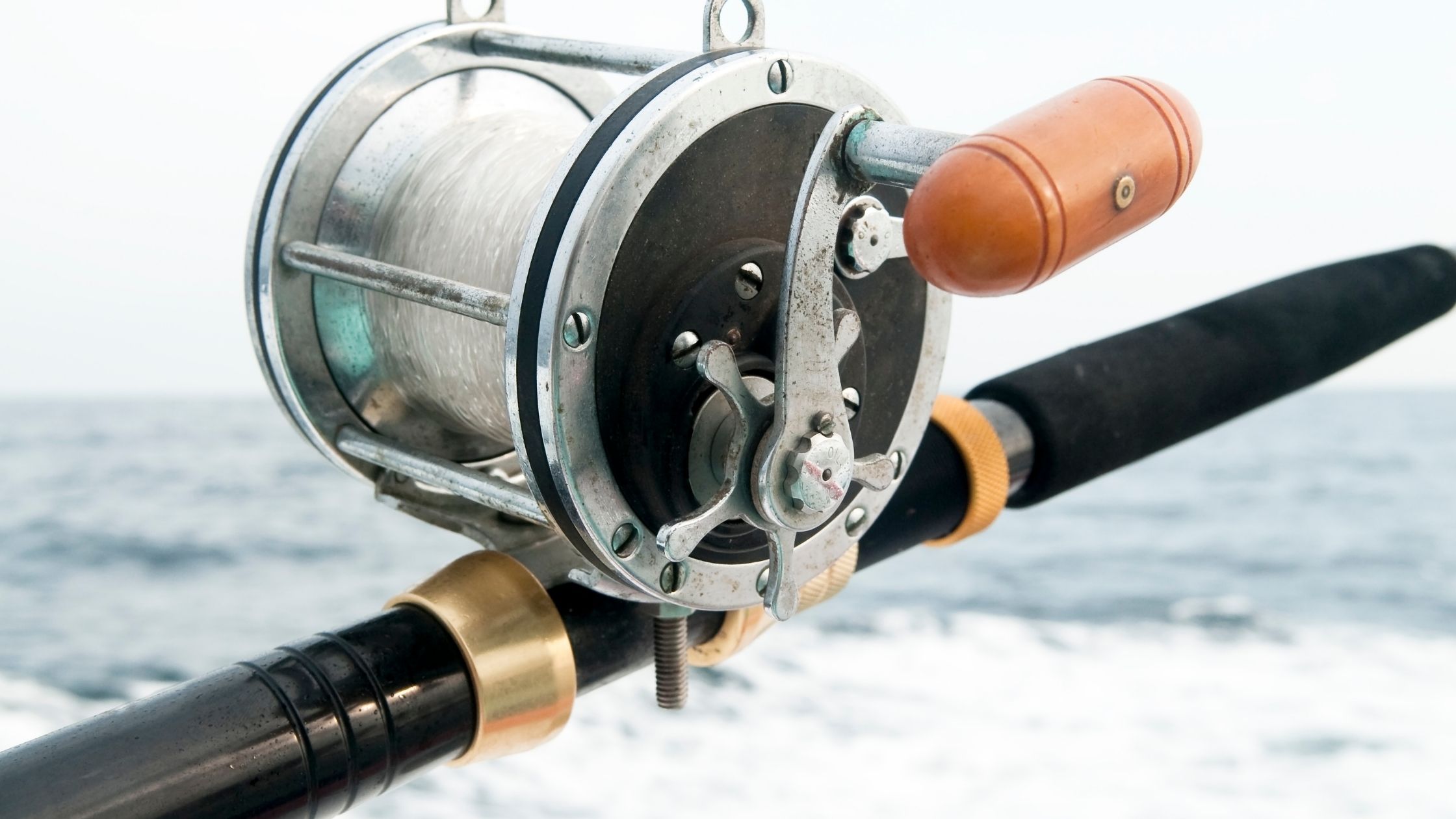 Typesof fishing reels: Saltwater Fishing Reels vs. Freshwater