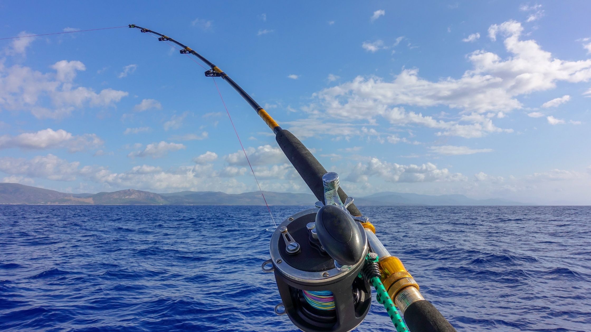 Types of Fishing Rods: Sea Fishing Rod