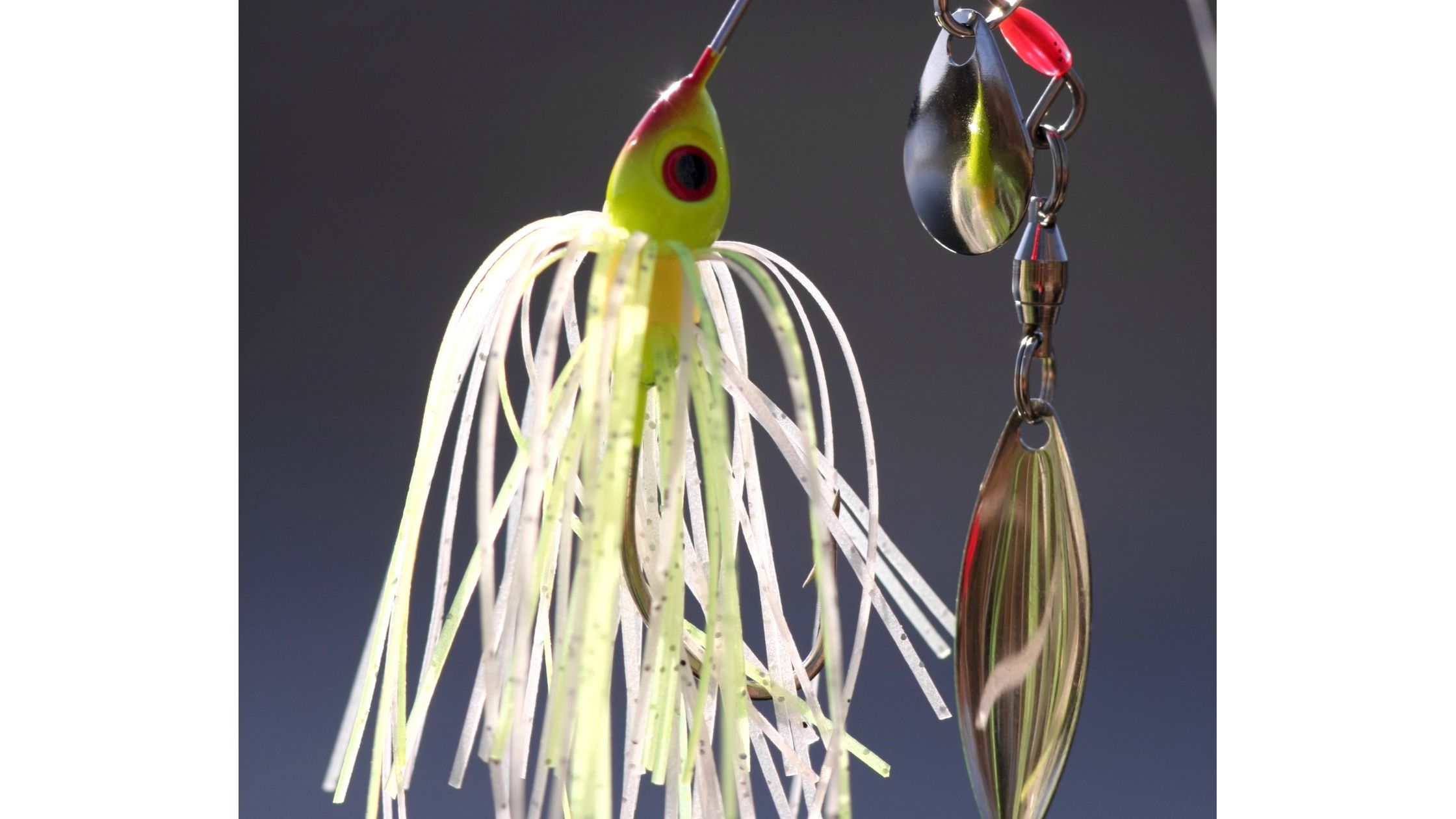 types of fishing Lures: Spinnerbait
