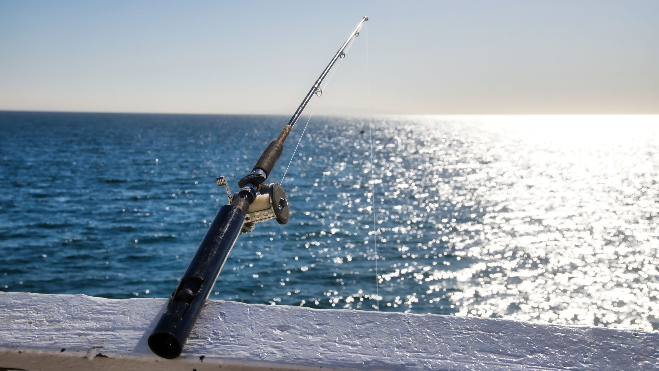 Types of Fishing Rods: Telescopic Rod