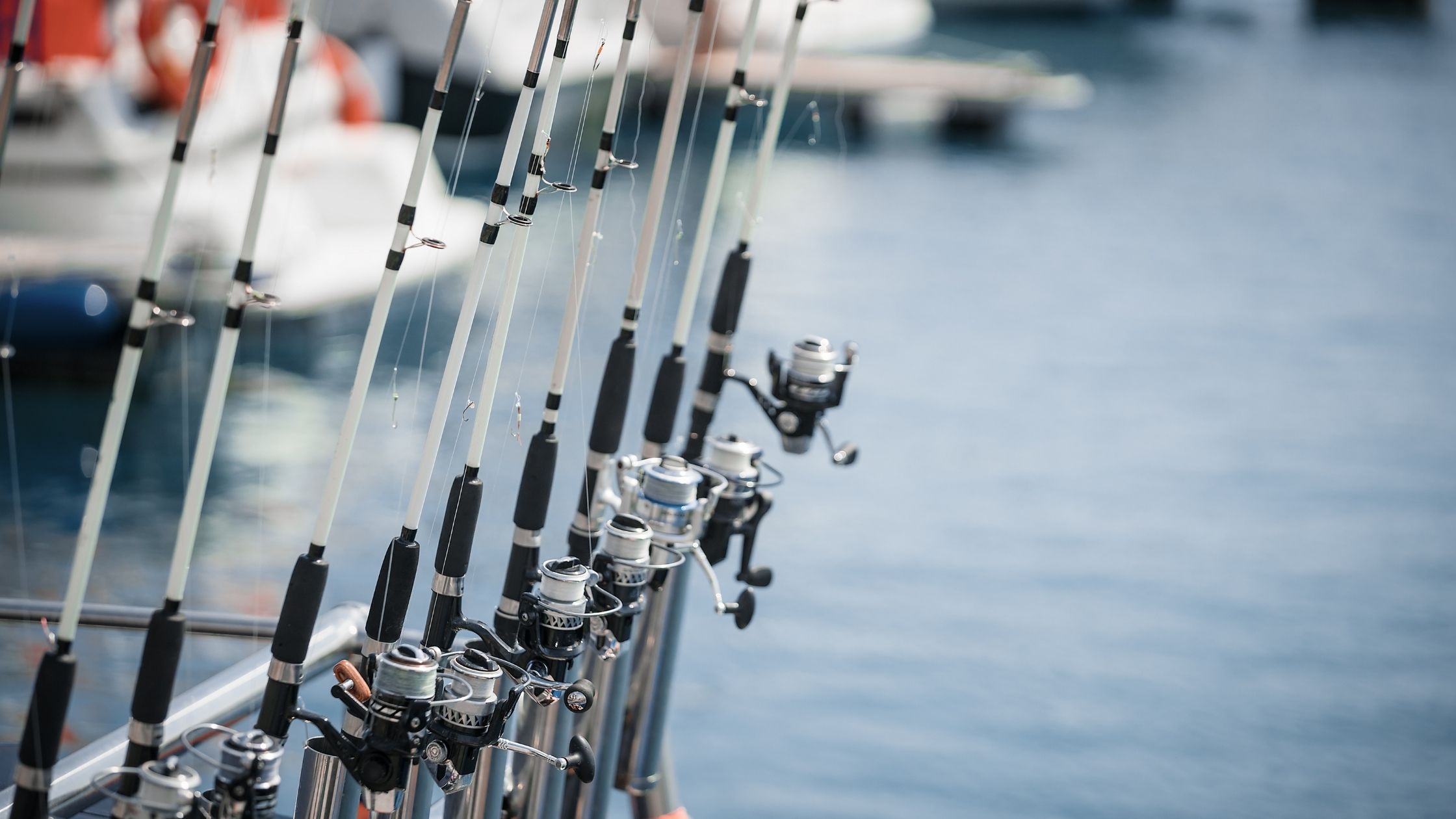 types of fishing poles: Trolling Fishing Poles