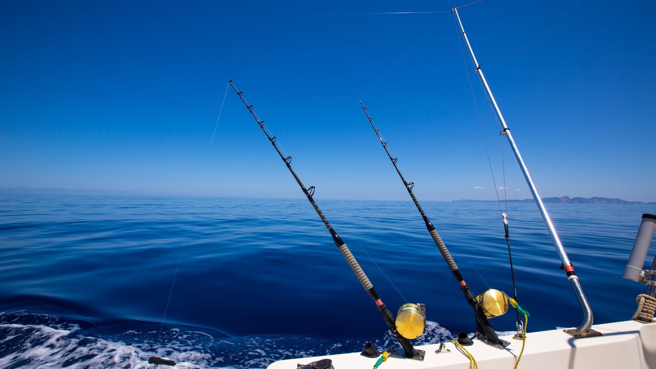 Types of Fishing Rods: Trolling Rod