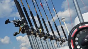 Types of Fishing Rods