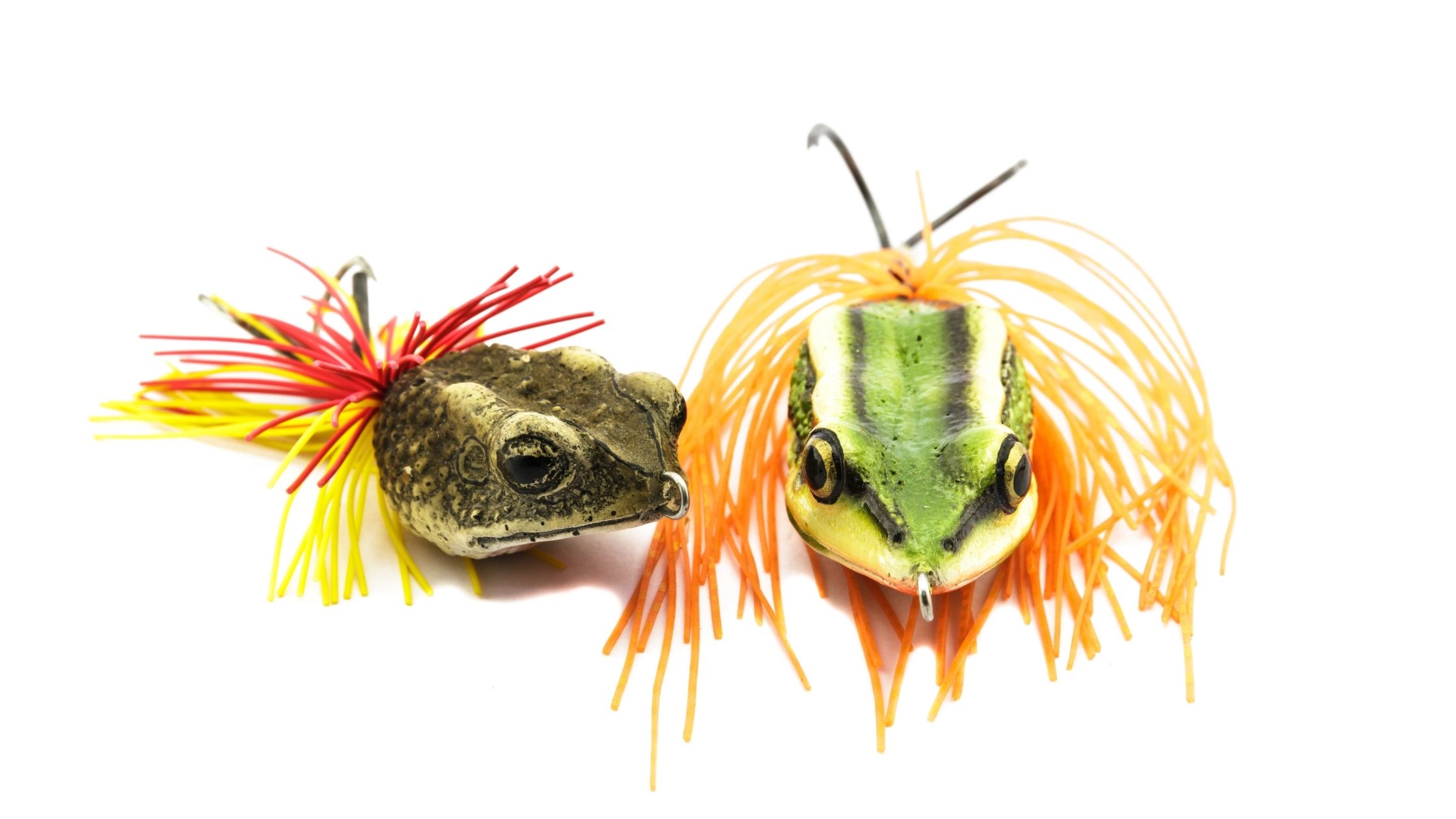 Types of Fishing Bait: Crickets