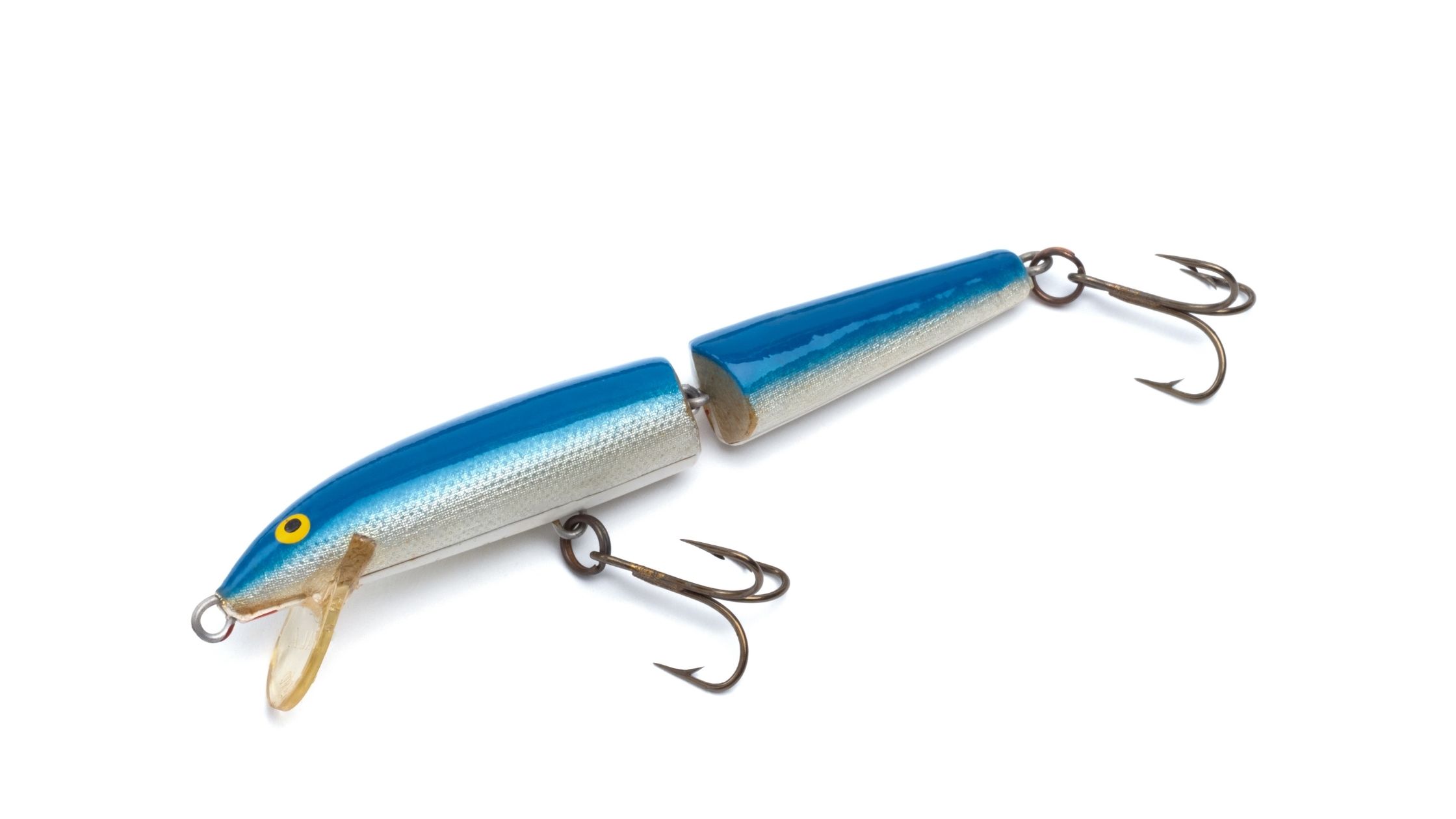 types of fishing Lures: electronic fishing lure