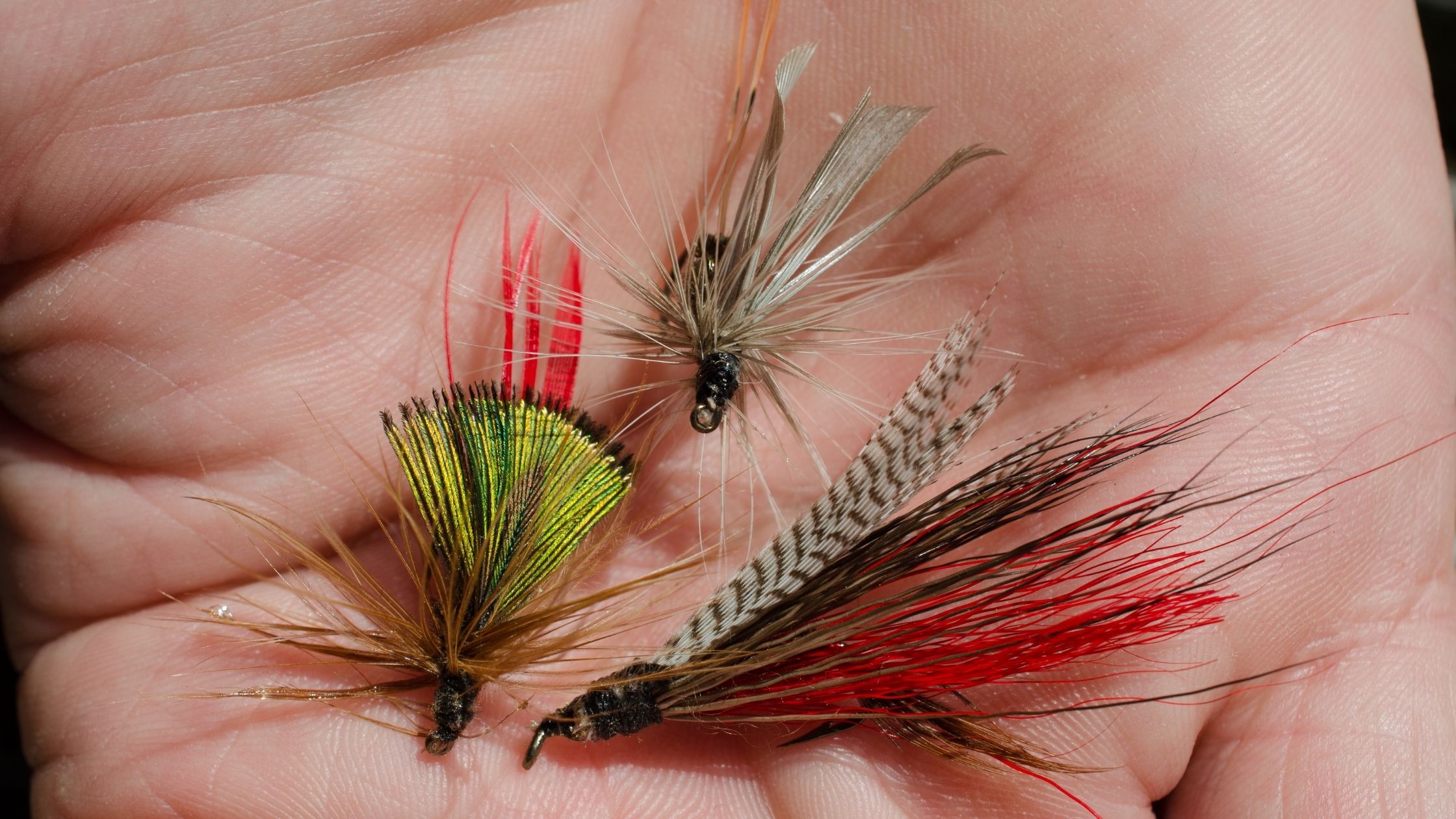 Types of Fishing Bait: flies