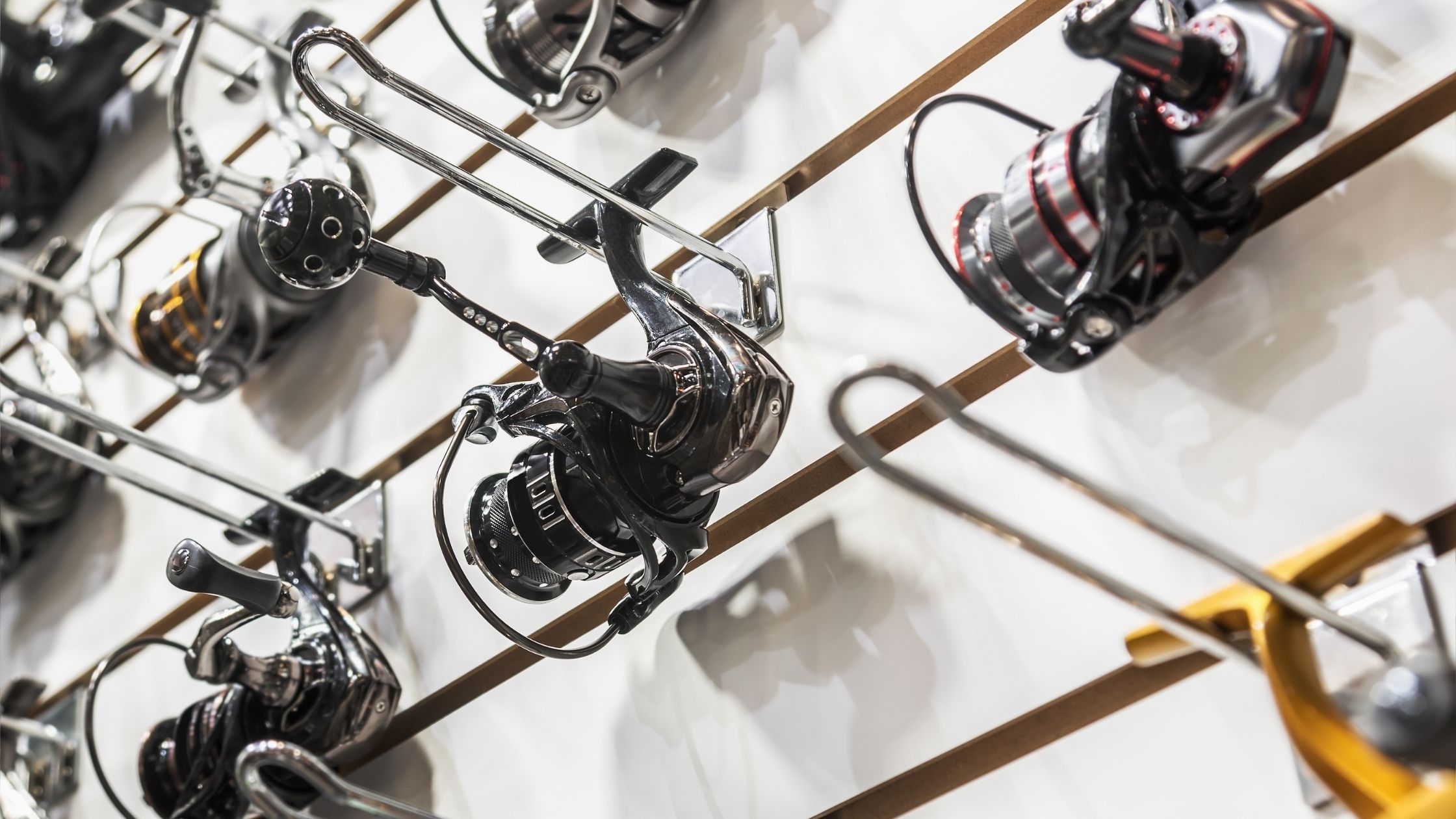 Types of fishing reels: reel sizes